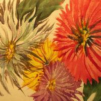 Water Colors