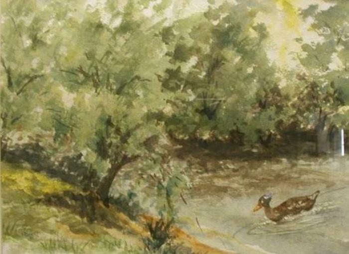 Water Colors