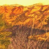 Water Colors