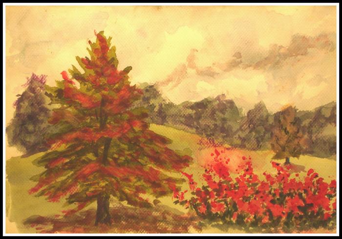 Water Colors