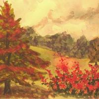 Water Colors