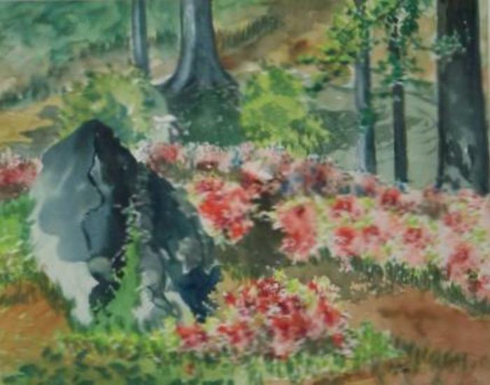 Water Colors