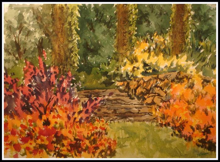 Water Colors