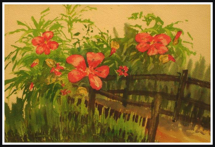 Water Colors