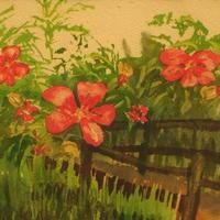 Water Colors