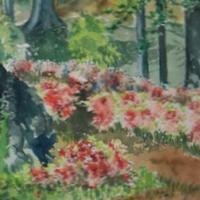 Water Colors