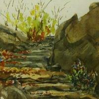 Water Colors