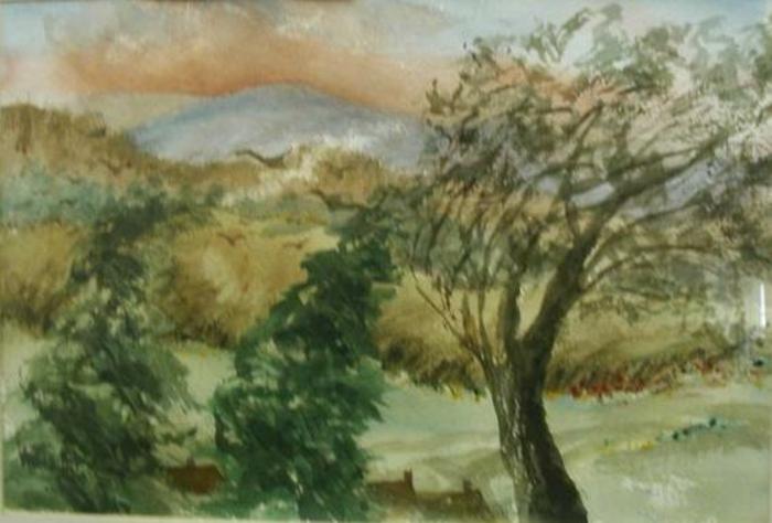 Water Colors