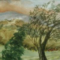 Water Colors