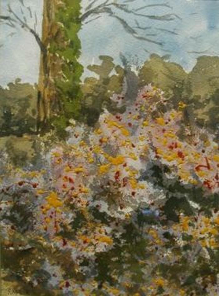 Water Colors