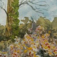 Water Colors