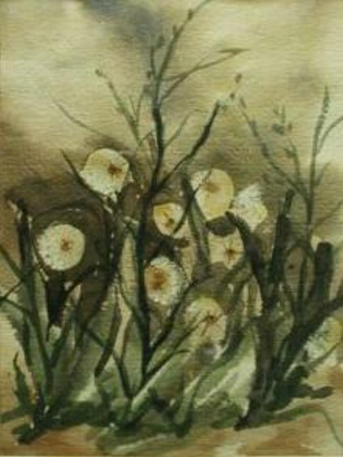 Water Colors