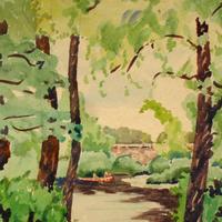 Water Colors