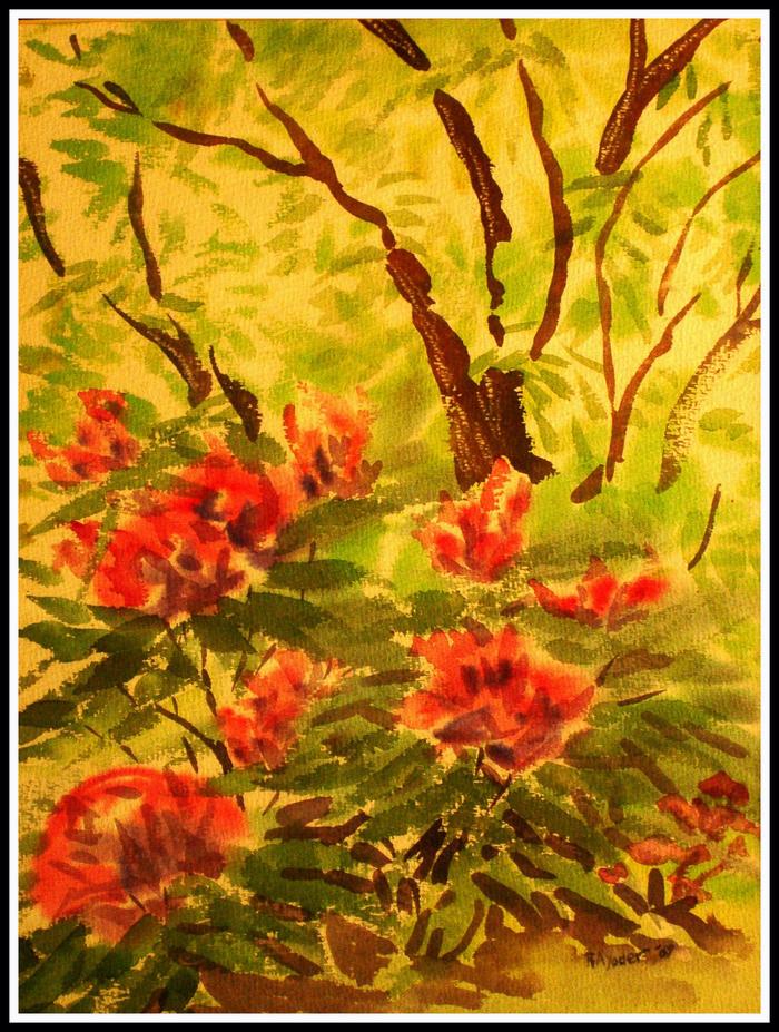 Water Colors