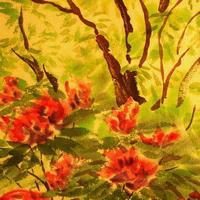 Water Colors