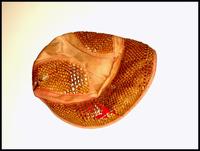 Personal Items