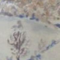 Water Colors
