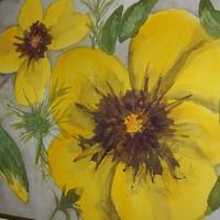 Water Colors