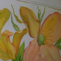 Water Colors
