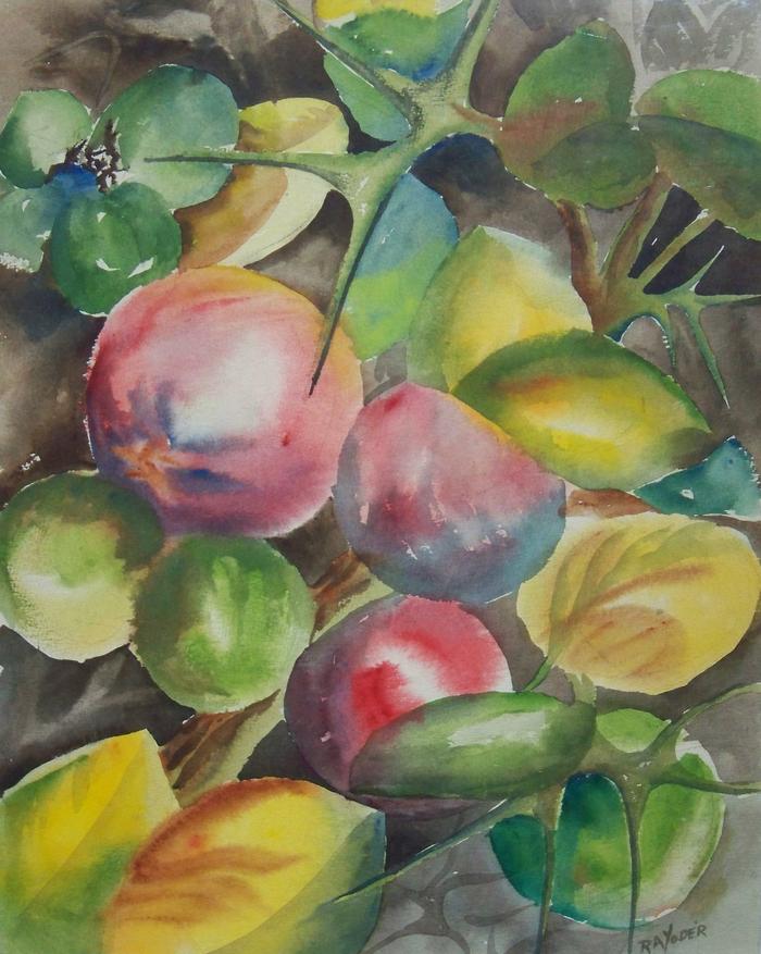 Water Colors