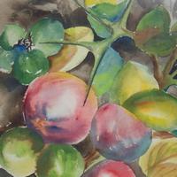 Water Colors