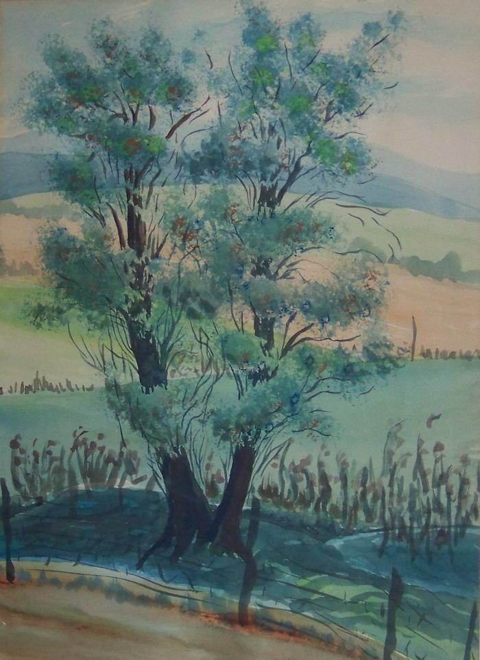 Water Colors