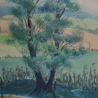 Water Colors