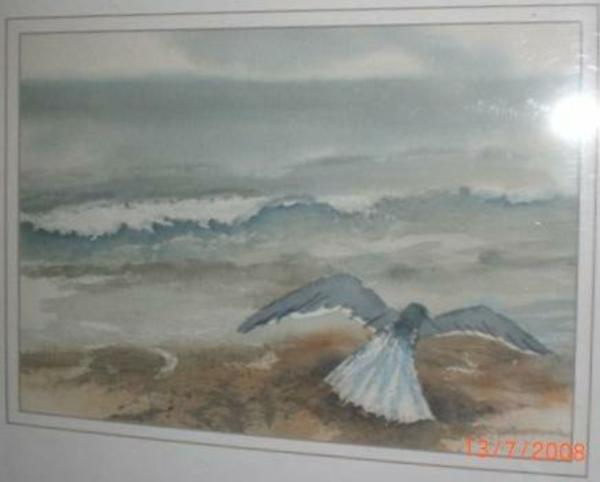 Water Colors