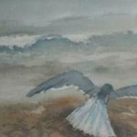 Water Colors