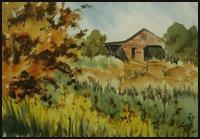 Water Colors
